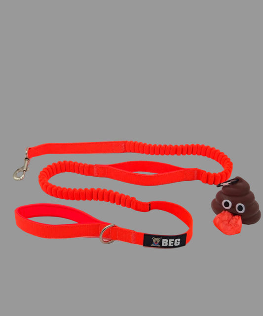 BEG Bungee Buddy Leash (Pop Series)