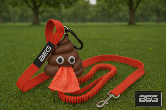 BEG Bungee Buddy Leash (Pop Series)
