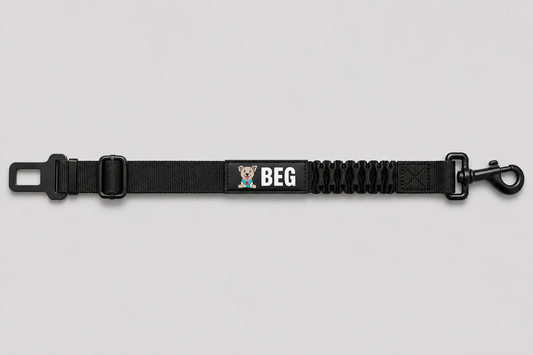 The Bungee Buckle-Seat Belt 🐾
