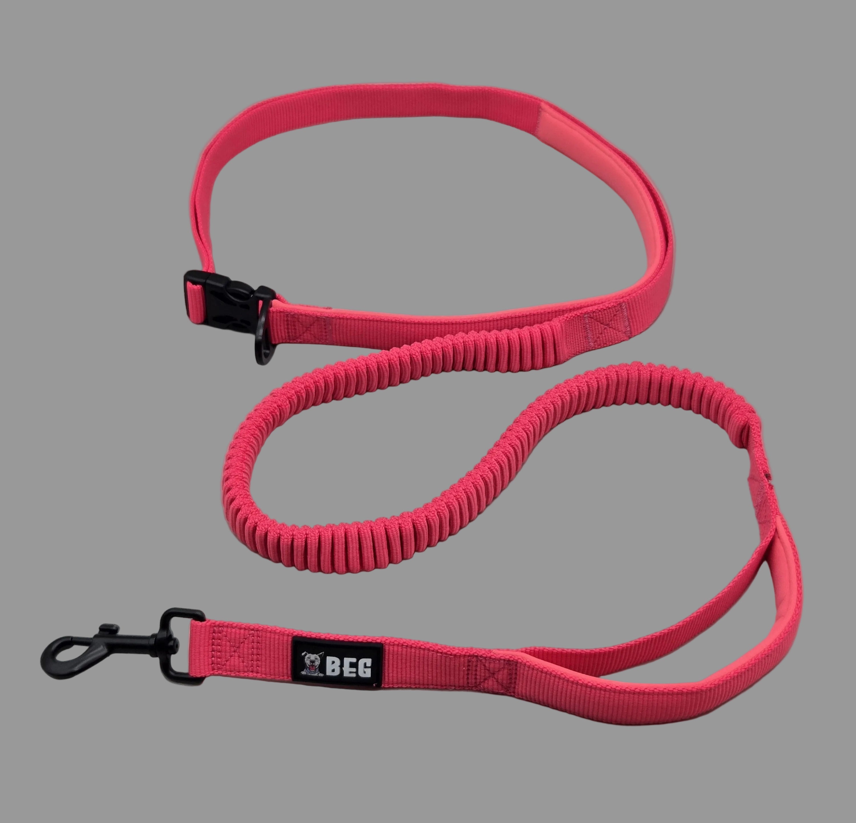 Leashes