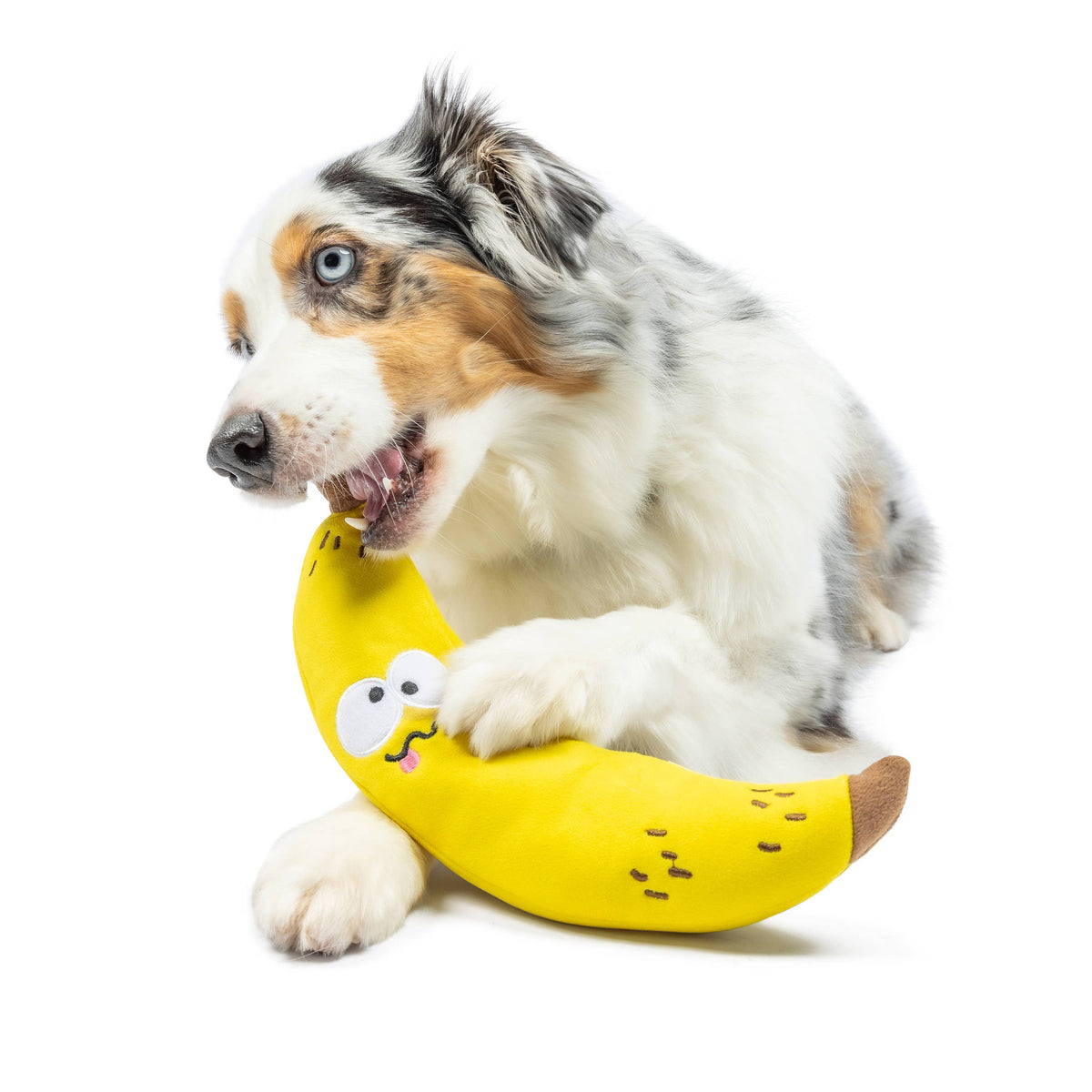 Fetchies® Bruiser Banana Dog Toy