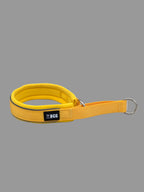 BEG SnugSafe Luxe – Premium, No-slip, padded Martingale Collar
