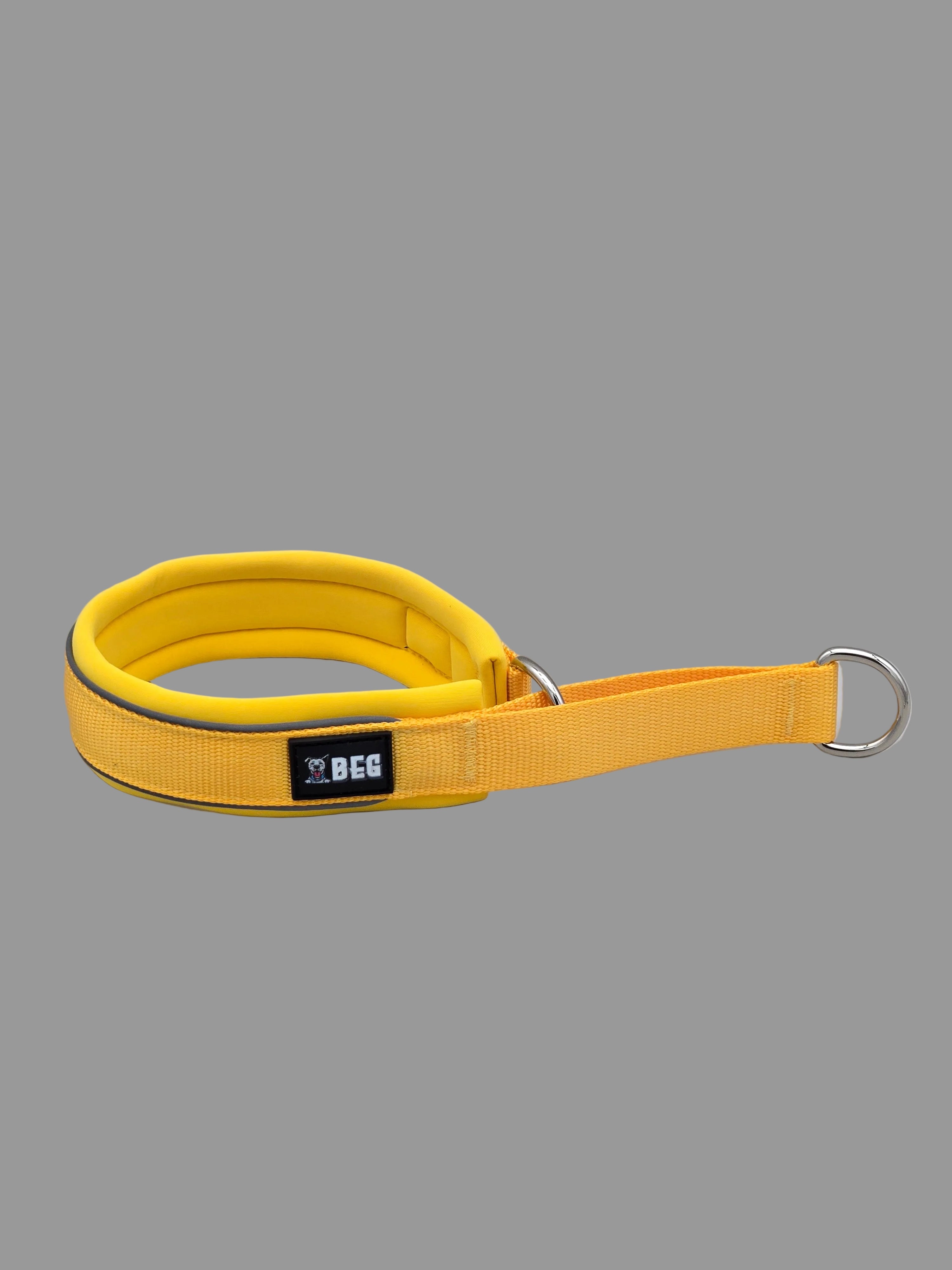 BEG SnugSafe Luxe – Premium, No-slip, padded Martingale Collar