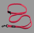 Bungee Buddy Belt