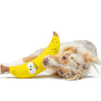 Fetchies® Bruiser Banana Dog Toy