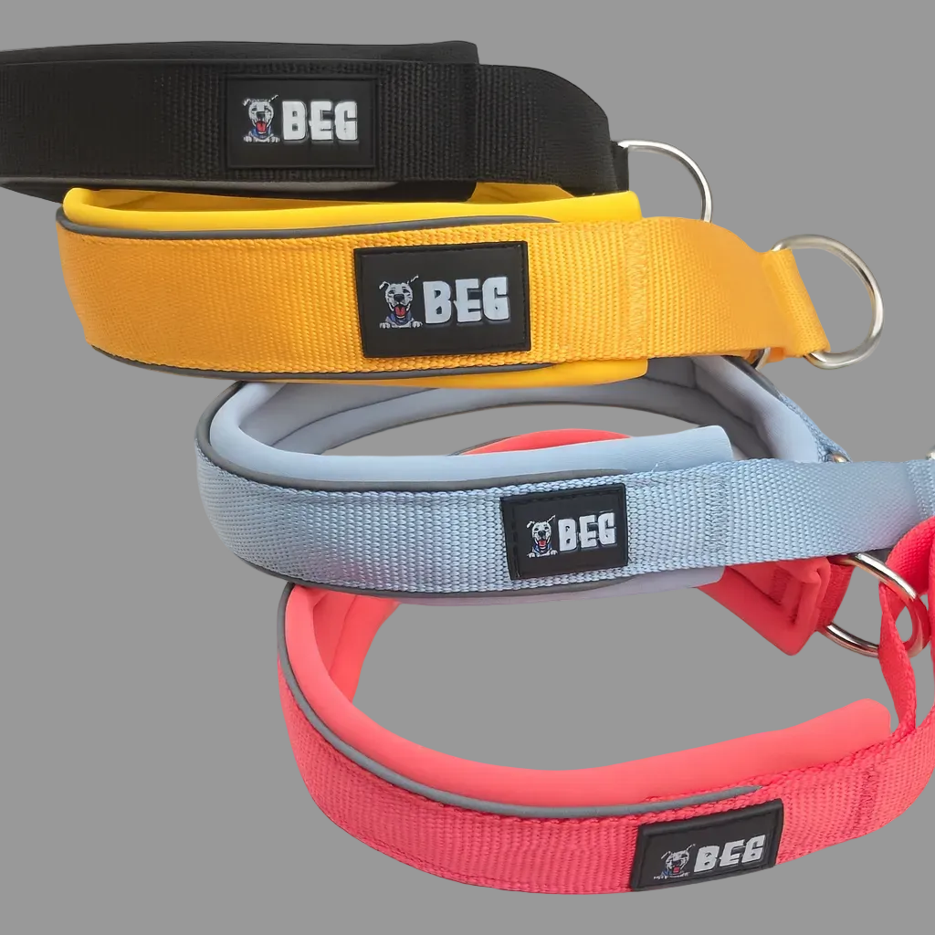 BEG SnugSafe Luxe – Premium, No-slip, padded Martingale Collar