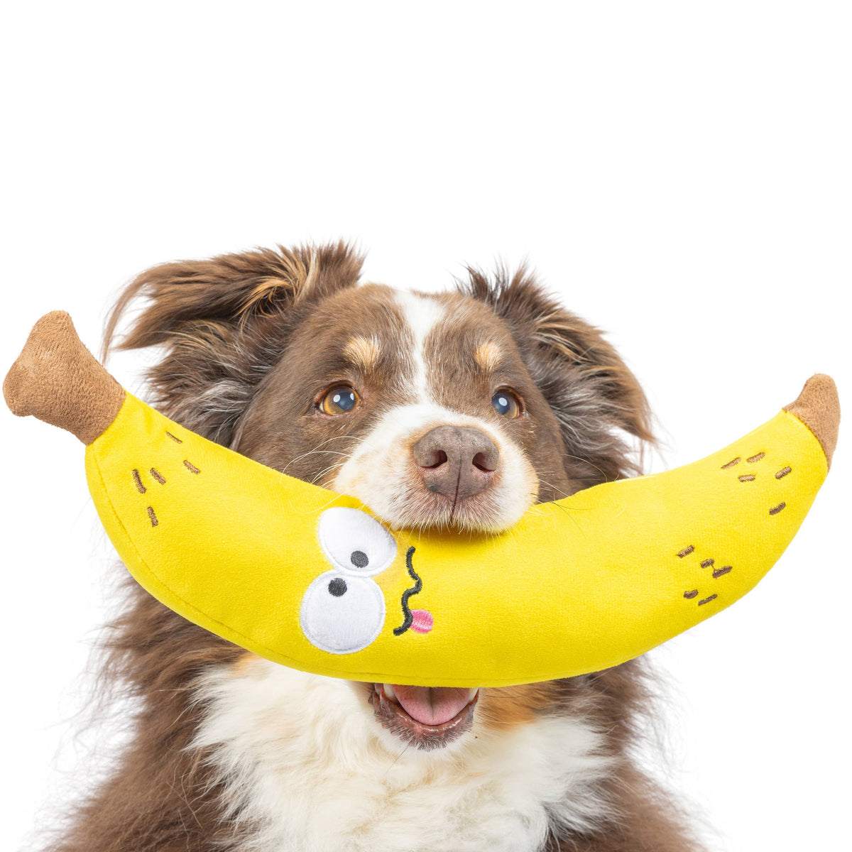 Fetchies® Bruiser Banana Dog Toy