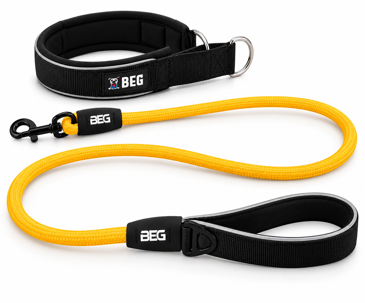 XXL SnugSafe Luxe Walk Bundle