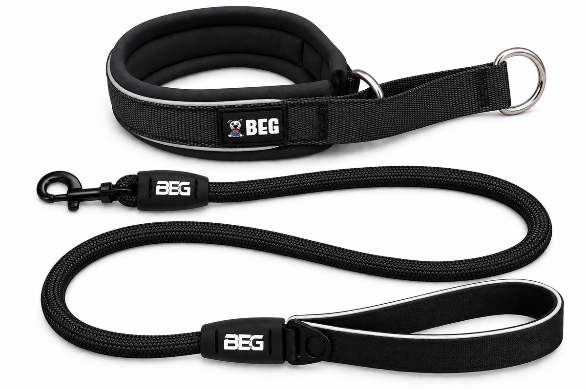 BEG SnugSafe Luxe Walk Bundle