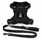 BEG Walk Ready Bundle