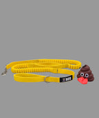 BEG Bungee Buddy Leash (Pop Series)