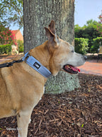 BEG SnugSafe Luxe – Premium, No-slip, padded Martingale Collar