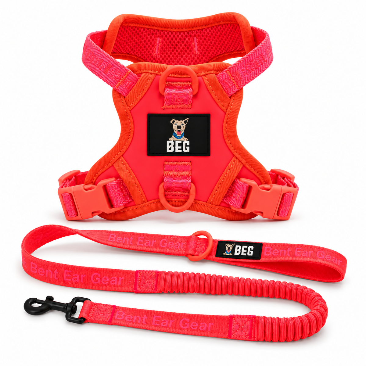 BEG Walk Ready Bundle