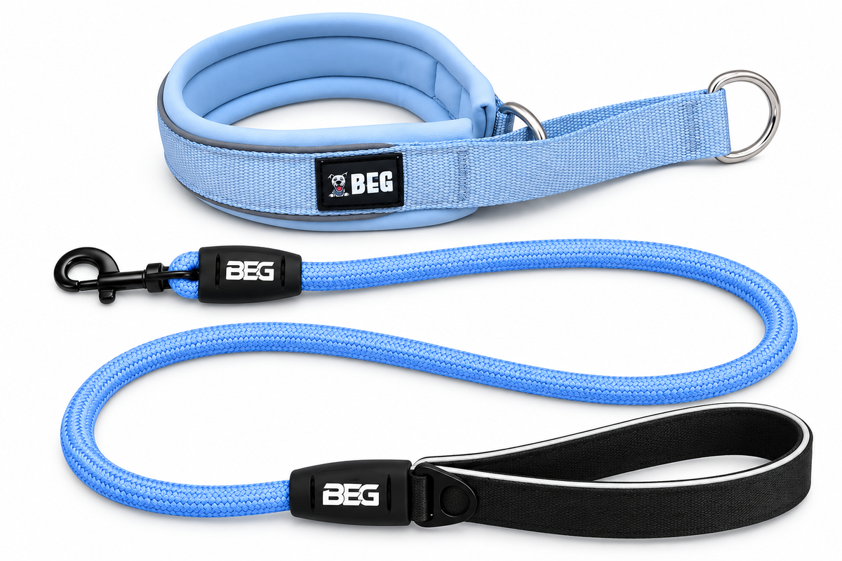 BEG SnugSafe Luxe Walk Bundle