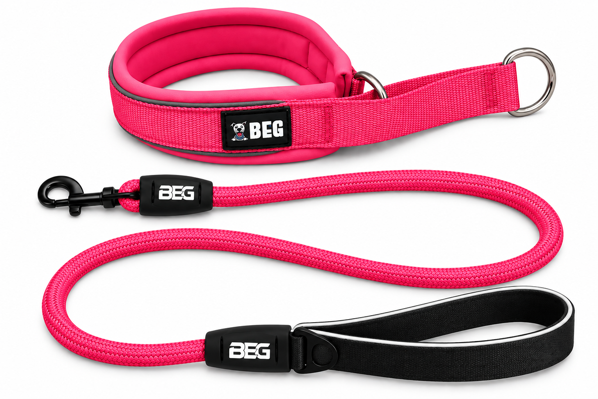 BEG SnugSafe Luxe Walk Bundle