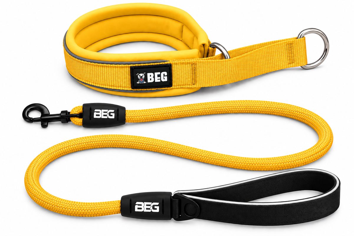 BEG SnugSafe Luxe Walk Bundle