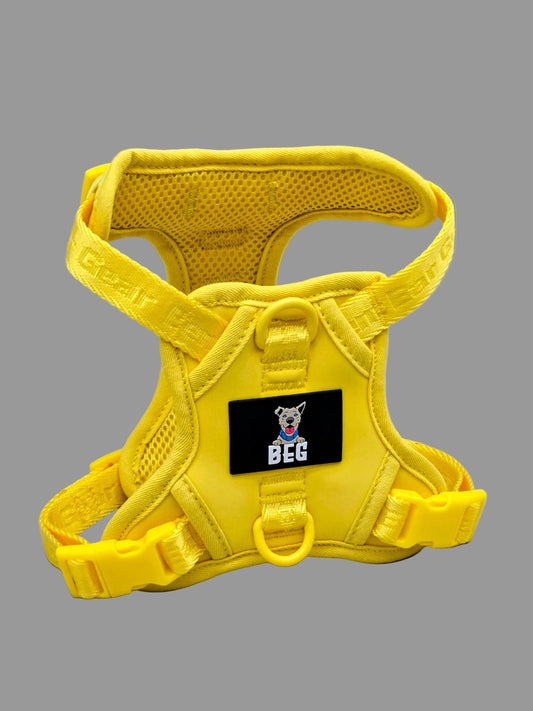 BEG Voyager Pop Series Harness