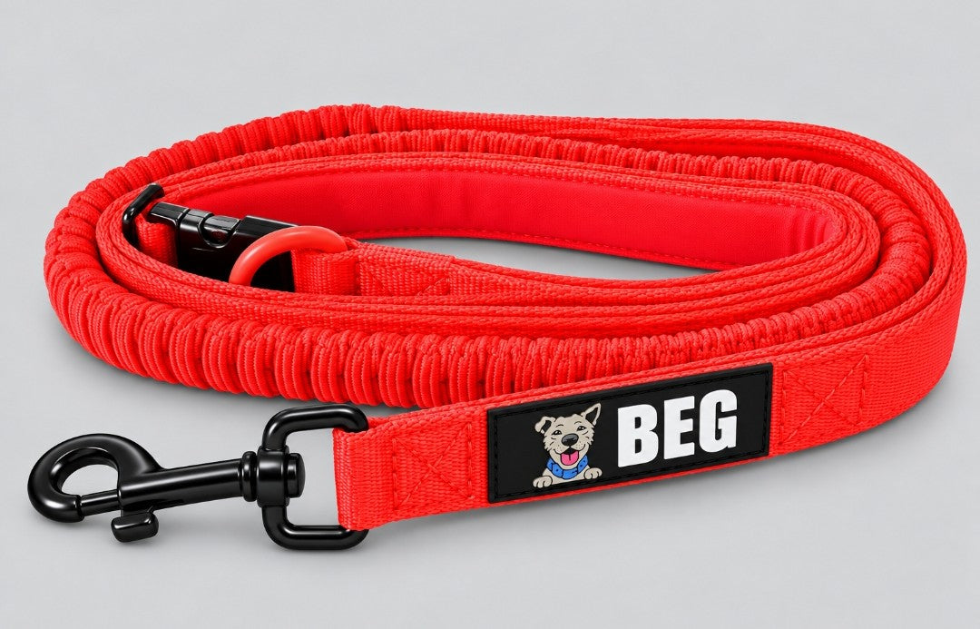 BEG PowerWalk 7' Hands-Free Leash – Show Special $12