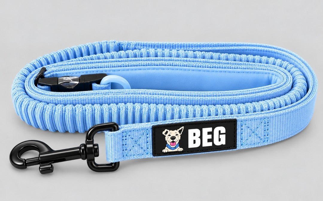 BEG PowerWalk 7' Hands-Free Leash – Show Special $12