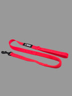 BEG Pop Series-4 ft  Bungee Leash