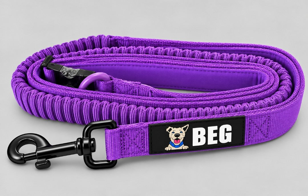BEG PowerWalk 7' Hands-Free Leash – Show Special $12