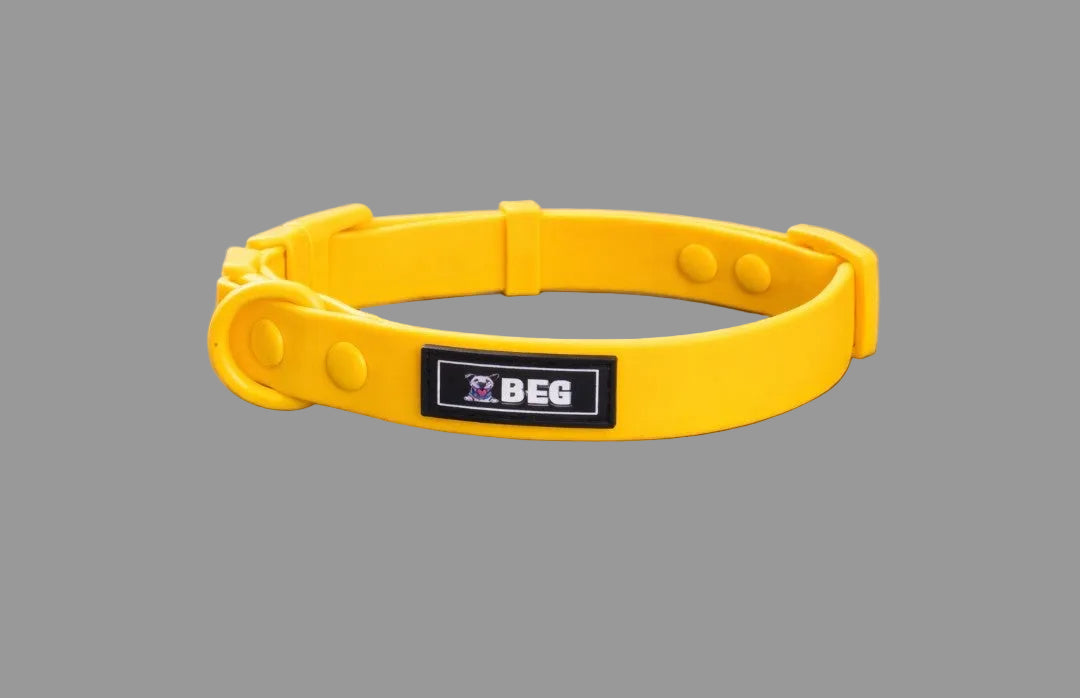 BEG Adjustable POP Series Waterproof  Collar