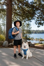 The BEG Backpack